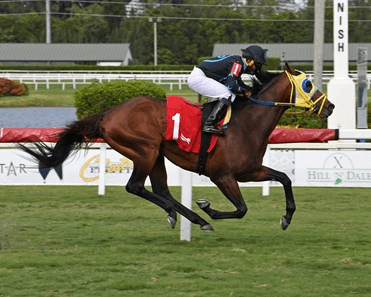 Gulfstream Park Saturday: Sunshine Turf Value Opportunity