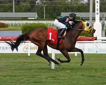 Gulfstream Park Saturday: Sunshine Turf Value Opportunity