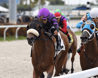 Turfway Park Saturday: Horse Racing Analysis (1/14)