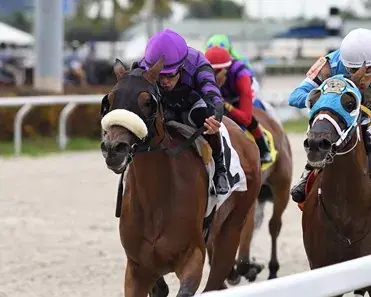 Turfway Park Saturday: Horse Racing Analysis (1/14)