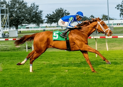 Fair Grounds Saturday Preview: Louisiana Champions Day Turf Analysis cover