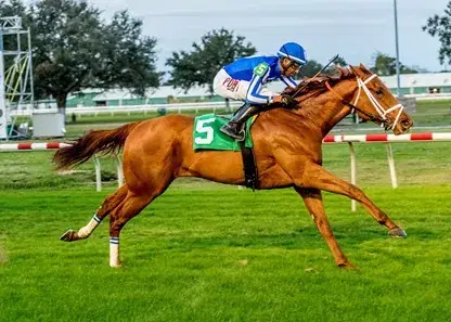 Fair Grounds Saturday Preview: Louisiana Champions Day Turf Analysis