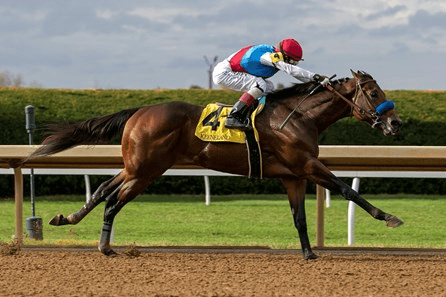 Oaklawn Park Saturday: Southwest Stakes Full Card Analysis cover