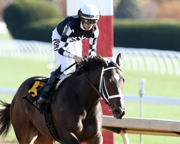 Oaklawn Park Saturday: Dixie Belle Analysis, Selections