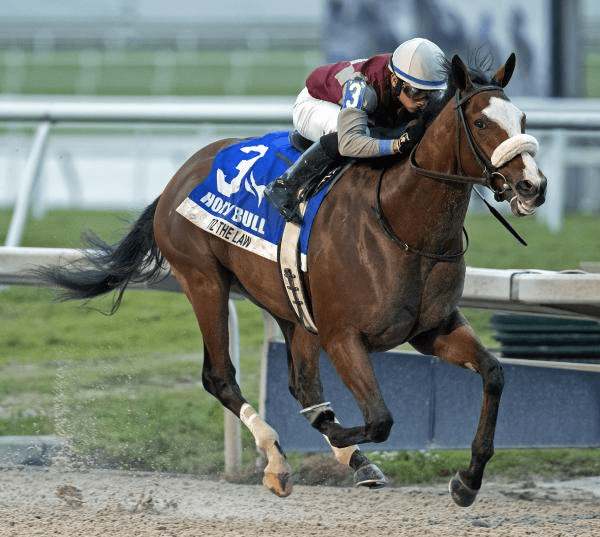Gulfstream Park Saturday: Holy Bull Analysis, Selections cover