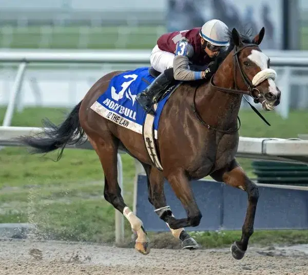 Gulfstream Park Saturday: Holy Bull Analysis, Selections