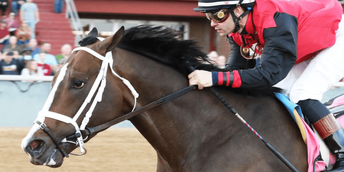 Fair Grounds Risen Star: Kentucky Derby Trail Continues Saturday cover