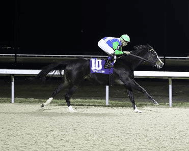 Turfway Park Saturday: Valdale Synthetic Stakes Analysis cover