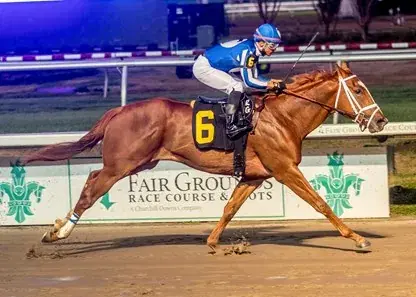Fair Grounds Saturday: Louisiana Stakes Duo Analysis