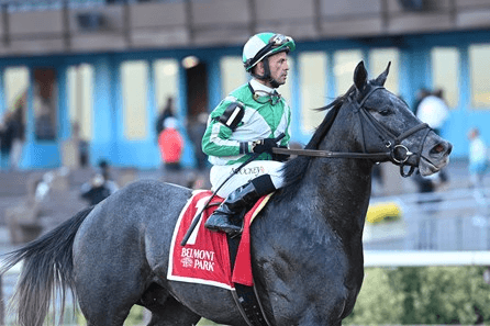 Aqueduct Saturday New York Kentucky Derby Trail Heats Up cover