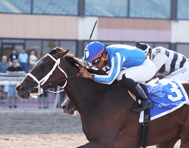 Oaklawn Park Saturday: Bayakoa Stakes Analysis, Selections