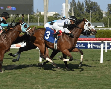 Gulfstream Park Saturday: Turf Sprints Analysis, Selections cover