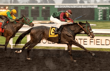 Golden Gate Fields Saturday: El Camino Real Offers Derby Points cover