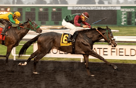 Golden Gate Fields Saturday: El Camino Real Offers Derby Points