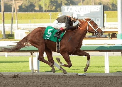 Presidents Day Horse Racing: Santa Anita Analysis, Selections
