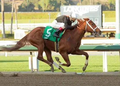 Presidents Day Horse Racing: Santa Anita Analysis, Selections