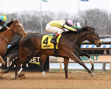 Aqueduct Saturday: Small Fields Haunt NYRA Winter Stakes