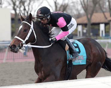 Aqueduct Sunday: Winter Weather Forces Ruthless Stakes Move cover