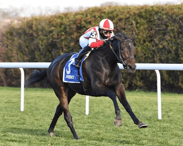 Tampa Bay Downs Saturday: Endeavour, Tampa Bay Analaysis