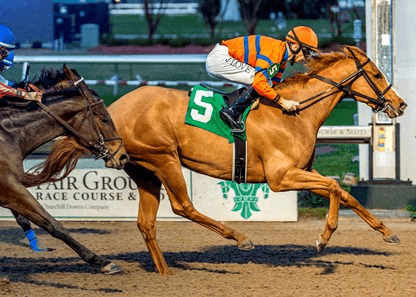 Mardi Gras: Fair Grounds Tuesday Stakes Analysis, Selections cover