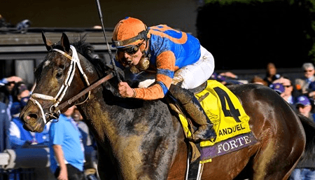 Gulfstream Park: Wednesday Full Card Selections, Analysis cover