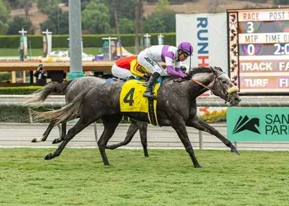 Santa Anita Saturday: Wishing Well Stakes Analysis, Selections