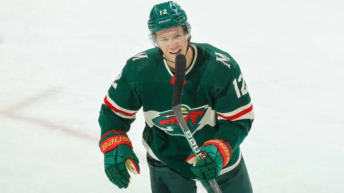 Penguins vs Wild Prediction