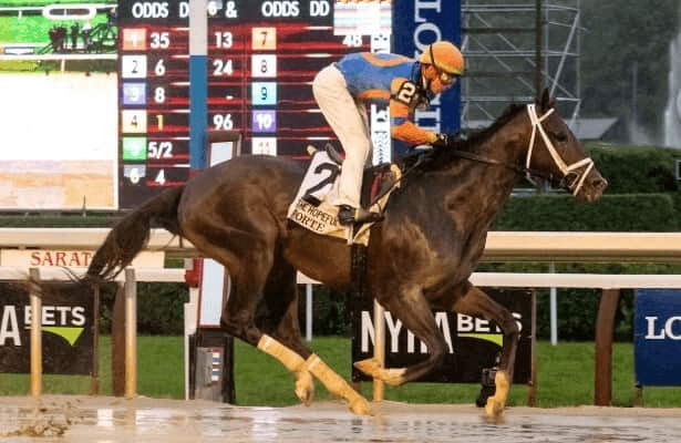 Gulfstream Park Fountain of Youth Stakes: Kentucky Derby Prep Analysis cover