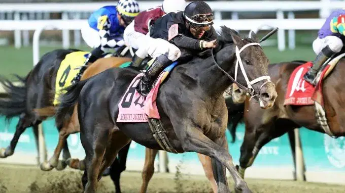 Fair Grounds Kentucky Derby Prep: Louisiana Derby Analysis