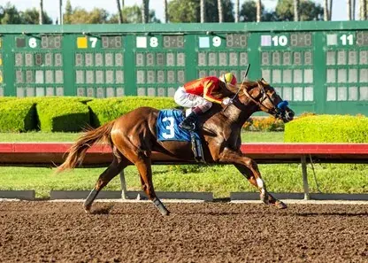 Sunland Park Derby: Lone New Mexico Kentucky Derby Prep Sunday
