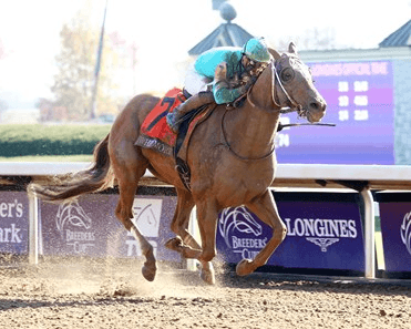 Oaklawn Park Saturday: Whitmore Stakes Honors Oaklawn Legend cover