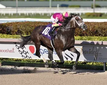 Oaklawn Park Handicap: Saturday Stakes Analysis (4/22)