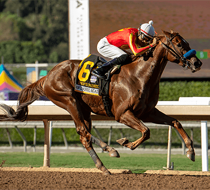 Santa Anita Park Saturday (4/22) Stakes Analysis: Californian
