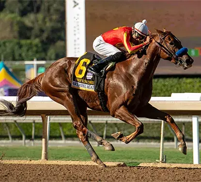 Santa Anita Park Saturday (4/22) Stakes Analysis: Californian