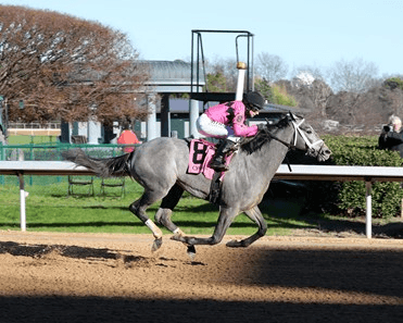 Aqueduct: Final New York Kentucky Derby Prep, Wood Analysis