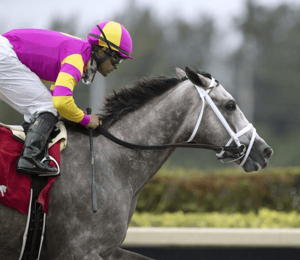 Keeneland Spring Meet: Derby Prep, Blue Grass Stakes Analysis cover