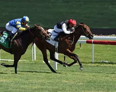 Belmont Park Saturday: Graded Turf Stakes Analysis cover