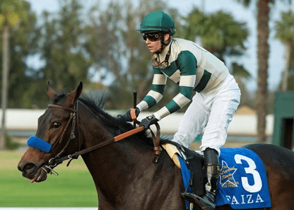 Pimlico Friday: Black-Eyed Susan Full Card Analysis