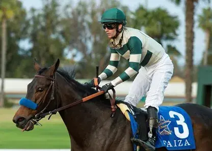 Pimlico Friday: Black-Eyed Susan Full Card Analysis cover