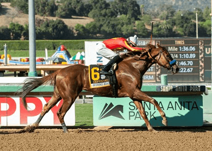 Santa Anita Memorial Day Stakes Racing Analysis, Selections cover