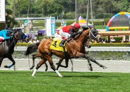 Santa Anita Park: Father’s Day Horse Racing Analysis cover