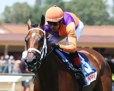 Canterbury Park: Wednesday Night Star Studded Turf Analysis cover