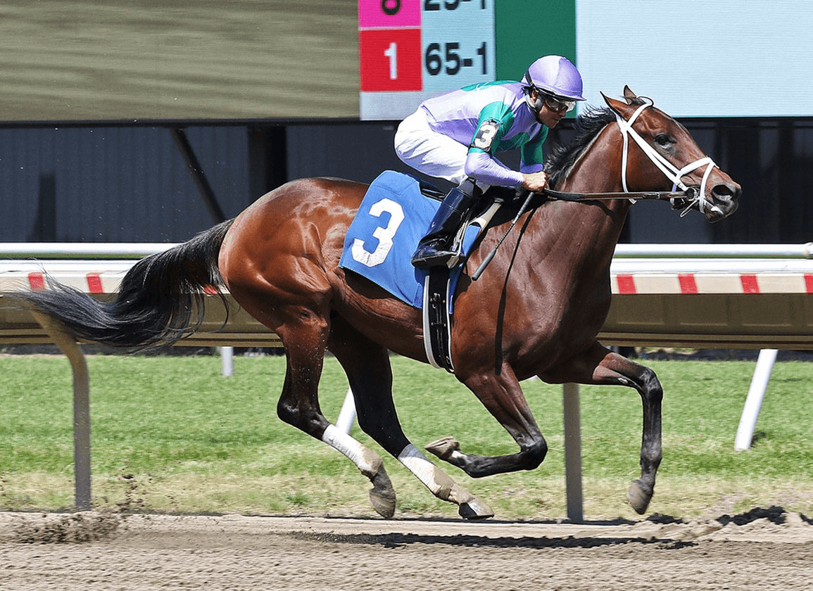 Belmont Park: Acorn, Gold Cup Highlight Belmont Stakes Eve