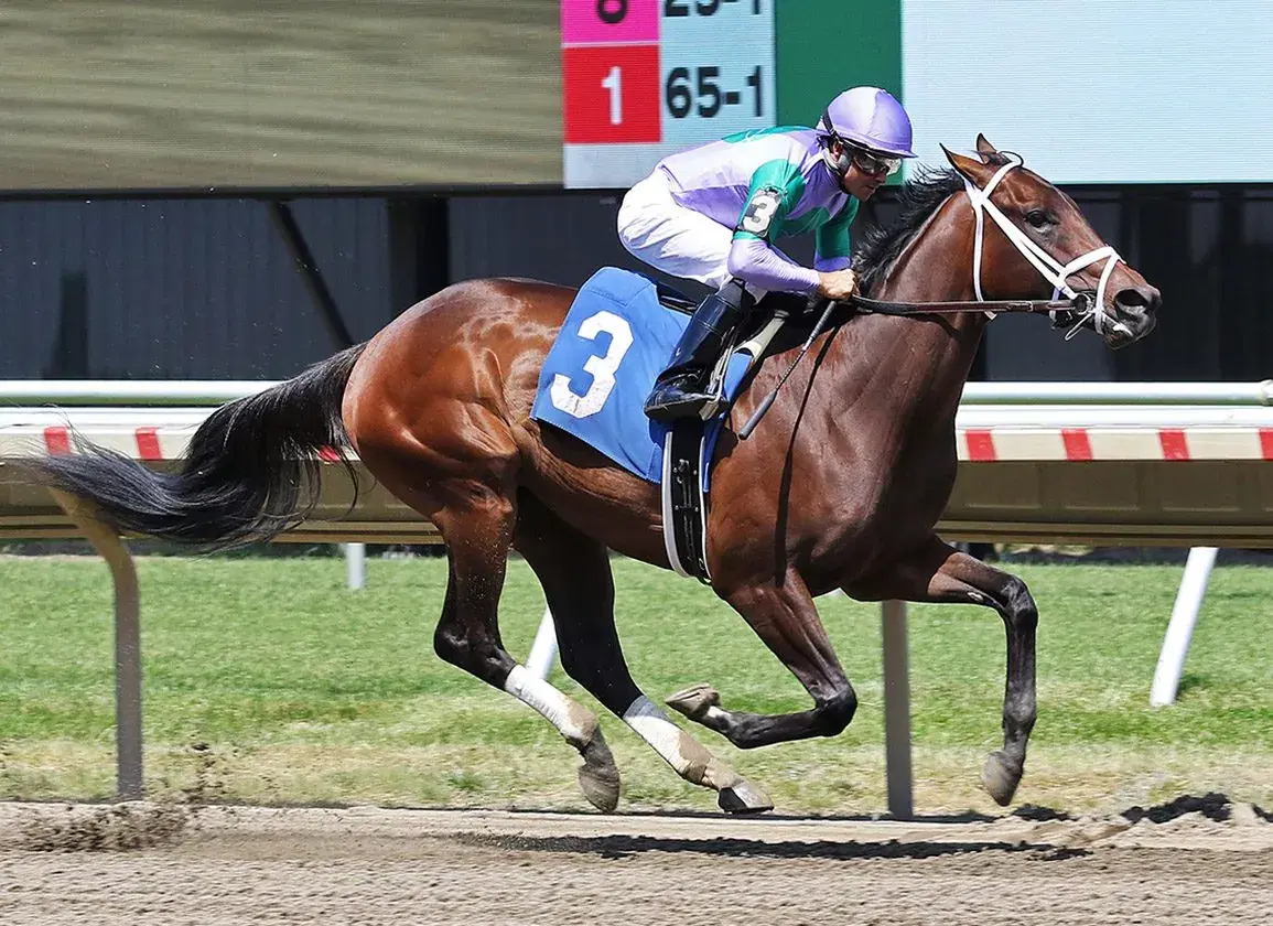 Belmont Park: Acorn, Gold Cup Highlight Belmont Stakes Eve