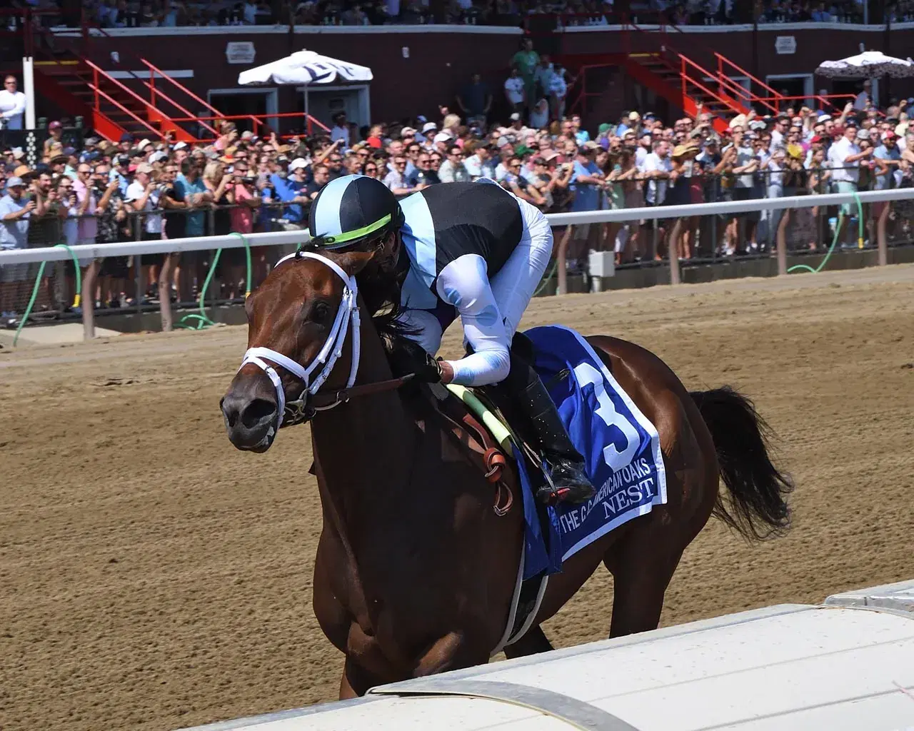 Saratoga Saturday: CCA Oaks, Caress Stakes Analysis cover