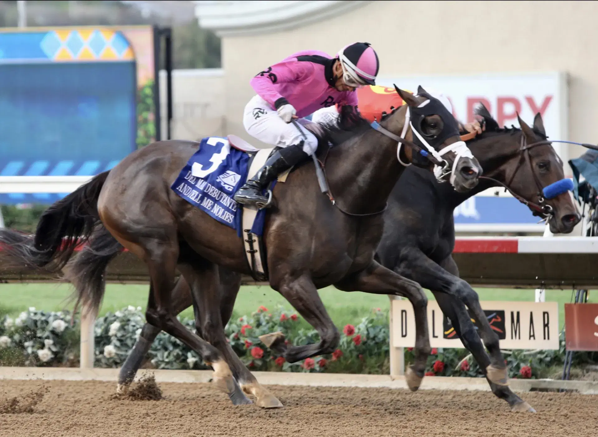 Del Mar Sunday: Eddie Read Stakes Analysis, Selections cover