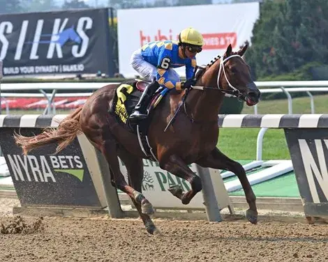 Saratoga Saturday: Asmussen Star Returns, 2 Graded Turf Events