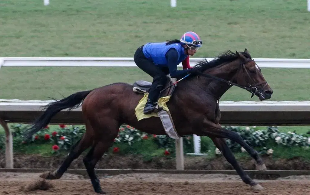 Del Mar Sunday: Grade 3 La Jolla Stakes Analysis cover