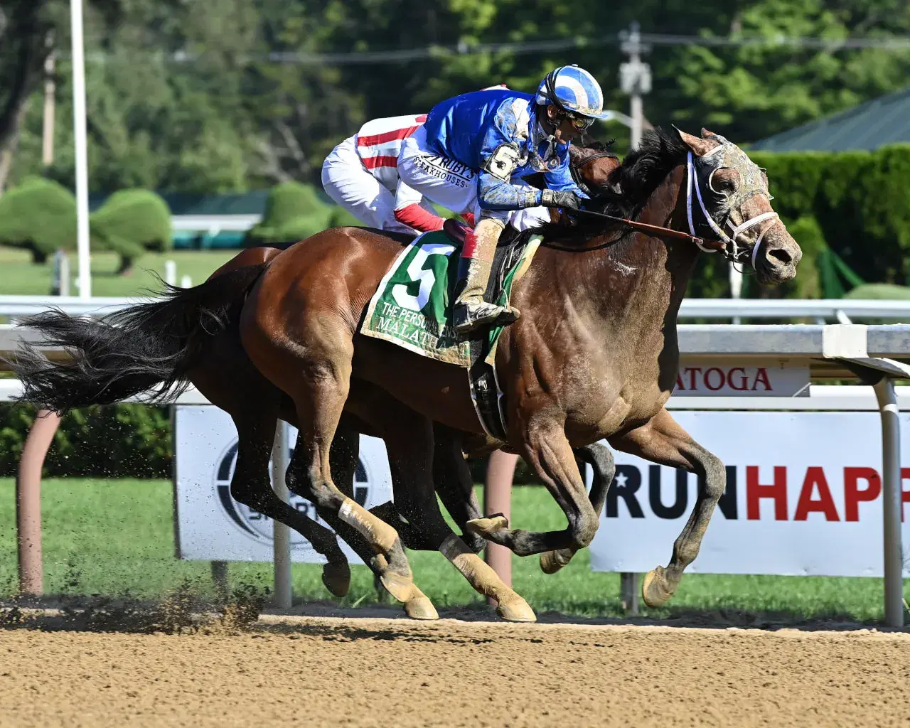 Saratoga Friday: Grade 1 Personal Ensign, Clairiere vs. Nest Showdown