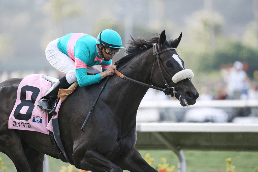 Del Mar Saturday: California Dreamin, Clement L. Hirsch Analysis